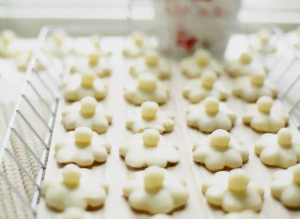 Chocolade kokosbloemetjes