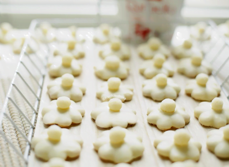 Chocolade kokosbloemetjes