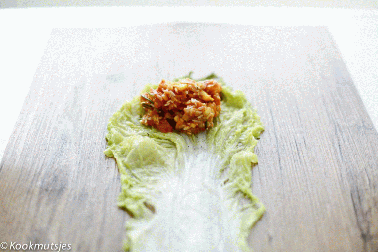 Chinese koolrolletjes met gamba