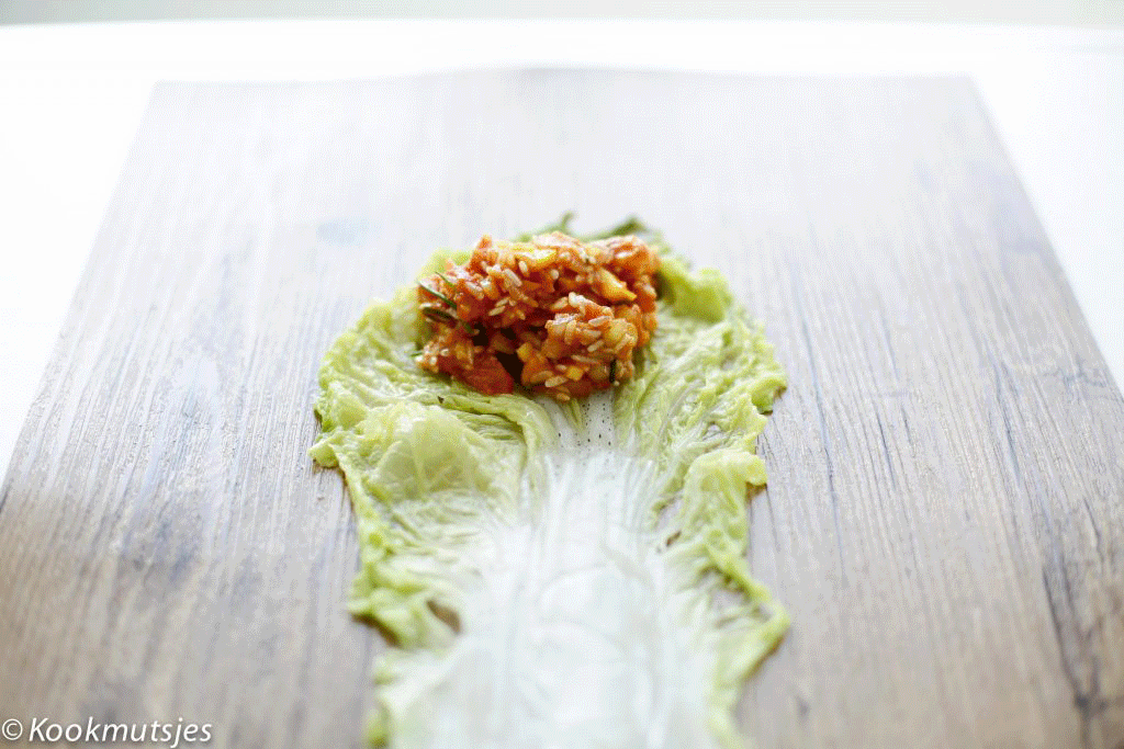 Chinese koolrolletjes met gamba