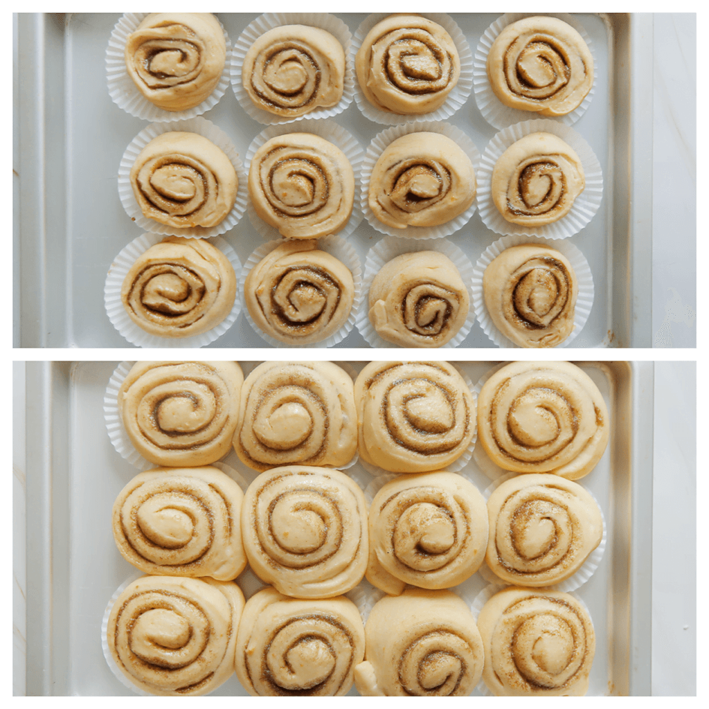 Leg de kaneelrollen op een cupcakepapiertje en doe ze in een bakplaat/ovenschaal. Laat 30 minuten rijzen op een warme plek of tot ze in formaat zijn verdubbeld.